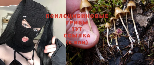 гидропоника Надым