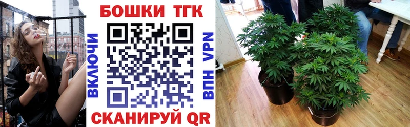 Бошки марихуана ГИДРОПОН  Шиханы 